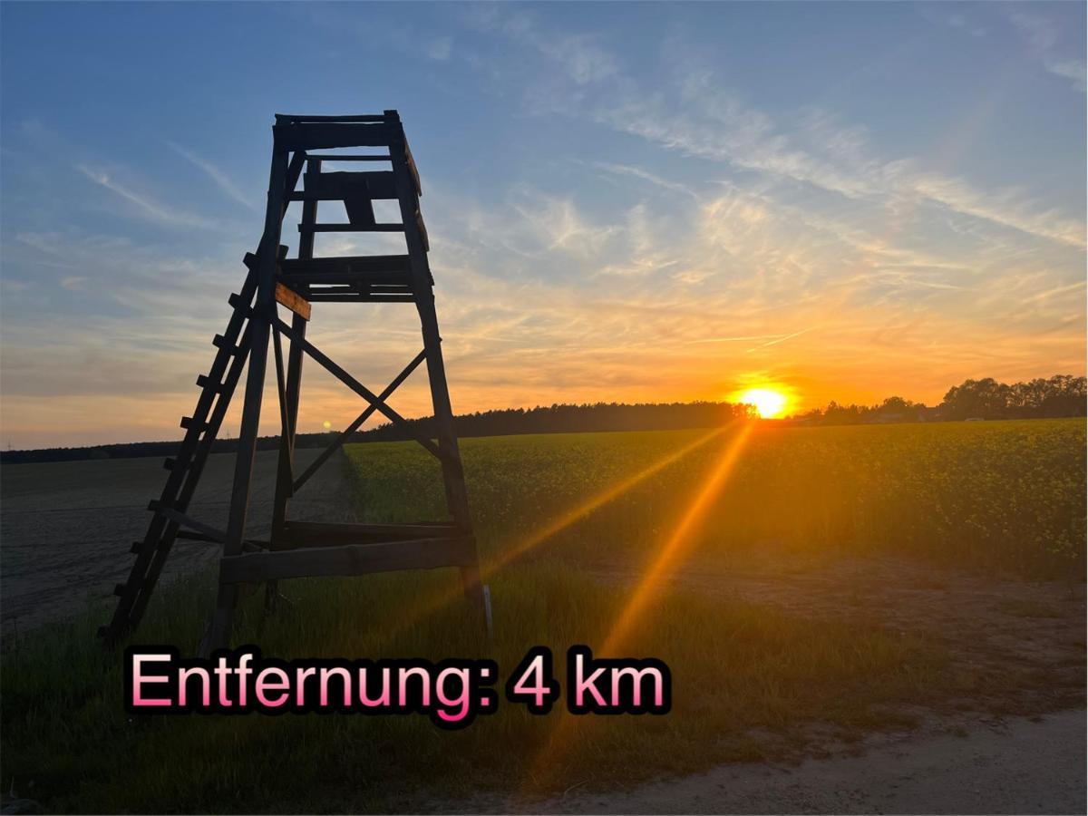 Wormis Apartment Heideblick Bei Luckau 外观 照片