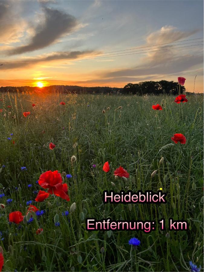Wormis Apartment Heideblick Bei Luckau 外观 照片